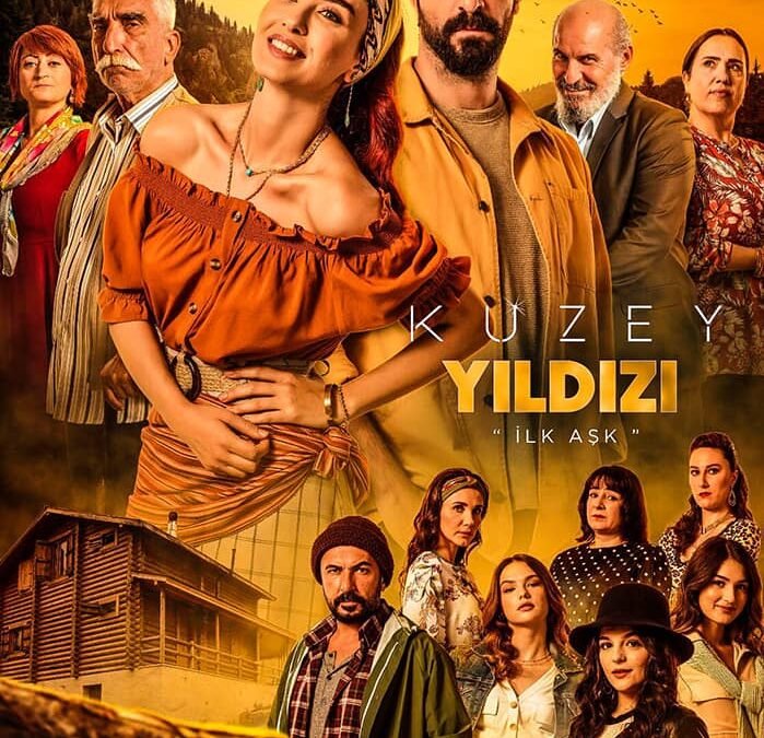 نجمة الشمال